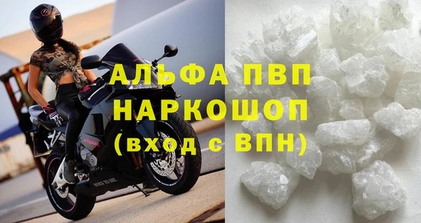 молекула духа Пестово