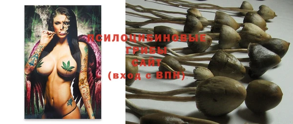 ECSTASY Покров