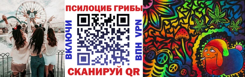 Галлюциногенные грибы Cubensis Сортавала